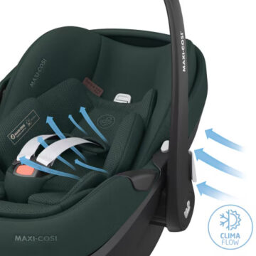 Maxi-Cosi Cadeira Auto Pebble 360 Pro2 - Twillic Black